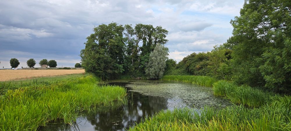 Randonnée musicale entre Auvers et Hérouville