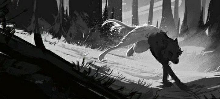 🌕🐺 Soirée Loup Garou 🐺🌕