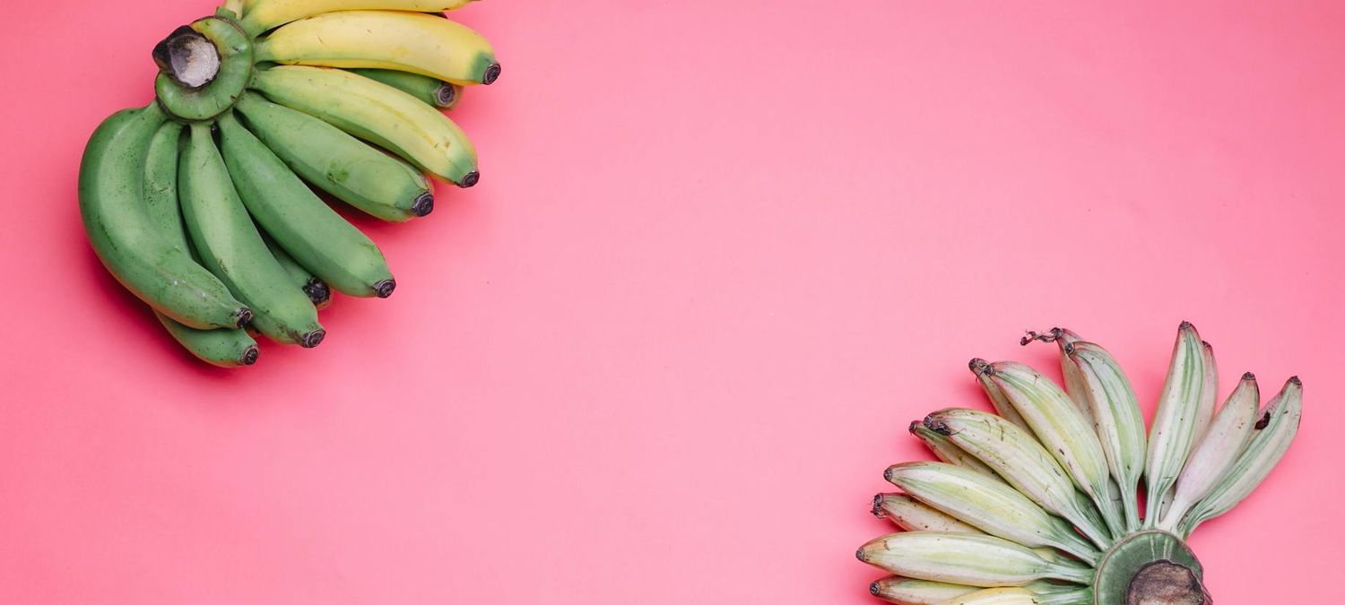 Vanishing Twin (groupe queer from England