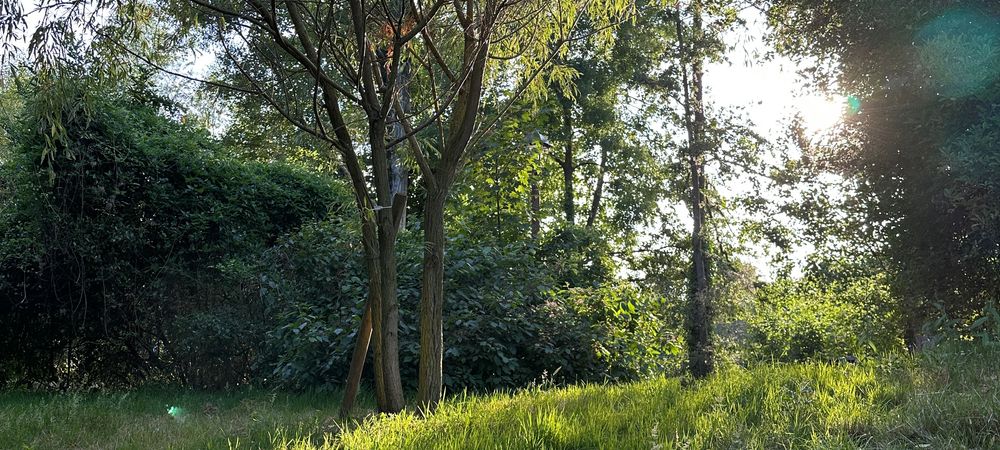 Petit pique nique et volley entre les.bi.ennes 🤍🏐