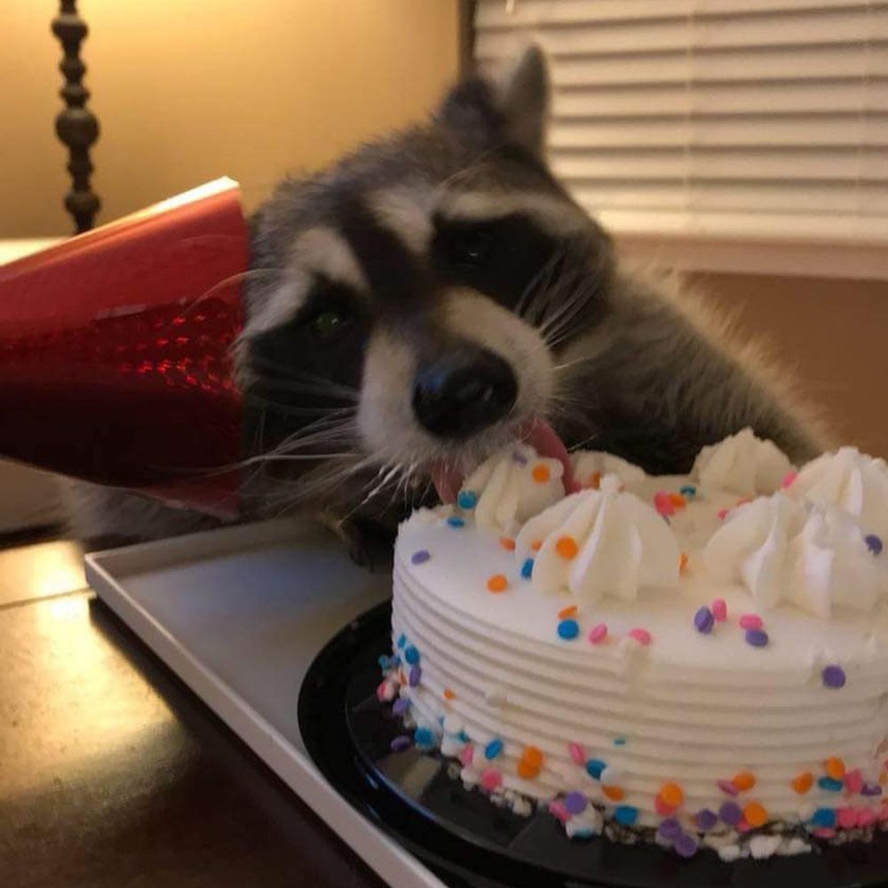 Bannière du groupe Sorties St Brieuc