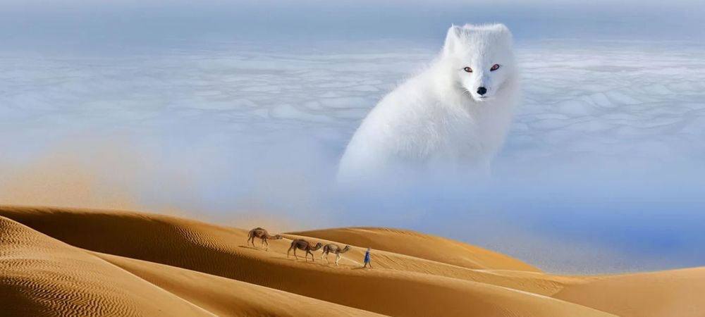 Expo "desert" Museum d'histoire Naturelle