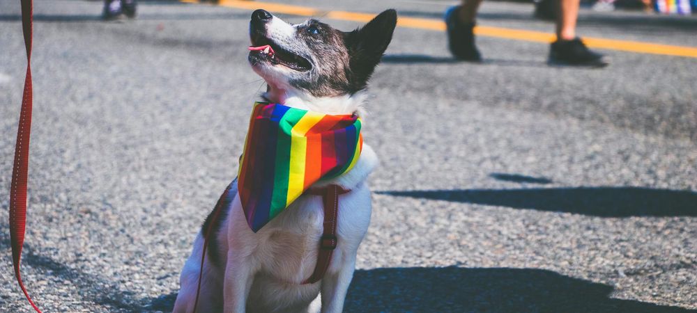 Association LGBTQIA+ à Clermont l'Hérault