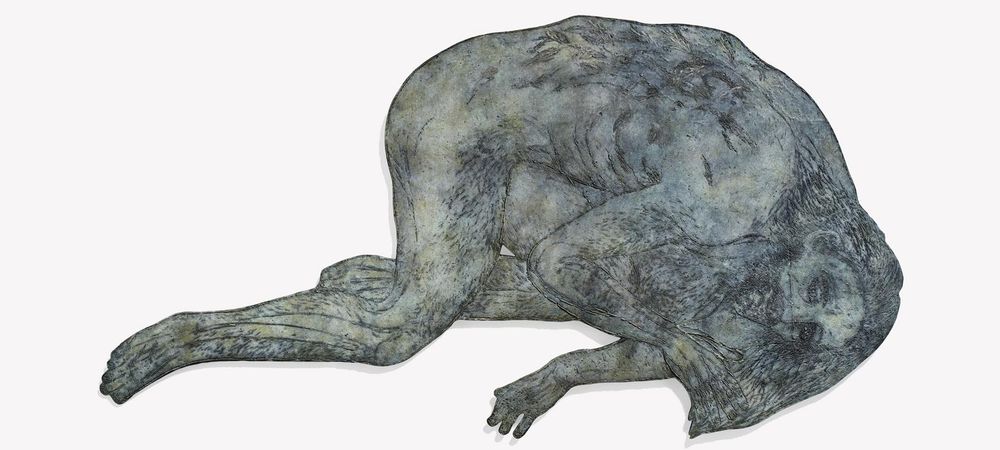Exposition - Être ici | Maintenant | Partout, Kiki Smith