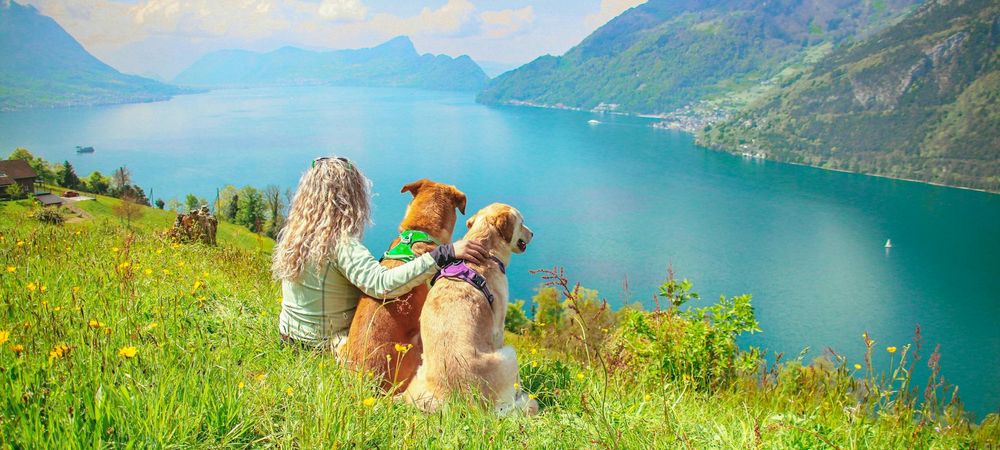 Balade avec nos loulous ? 🐺🐶🍃😊