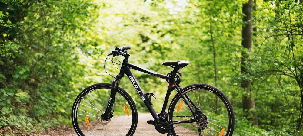 Balade à vélo au Bois de Vincennes