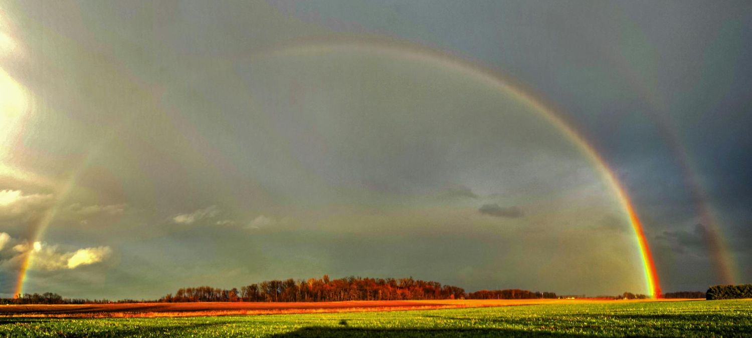Ciné Rainbow festival