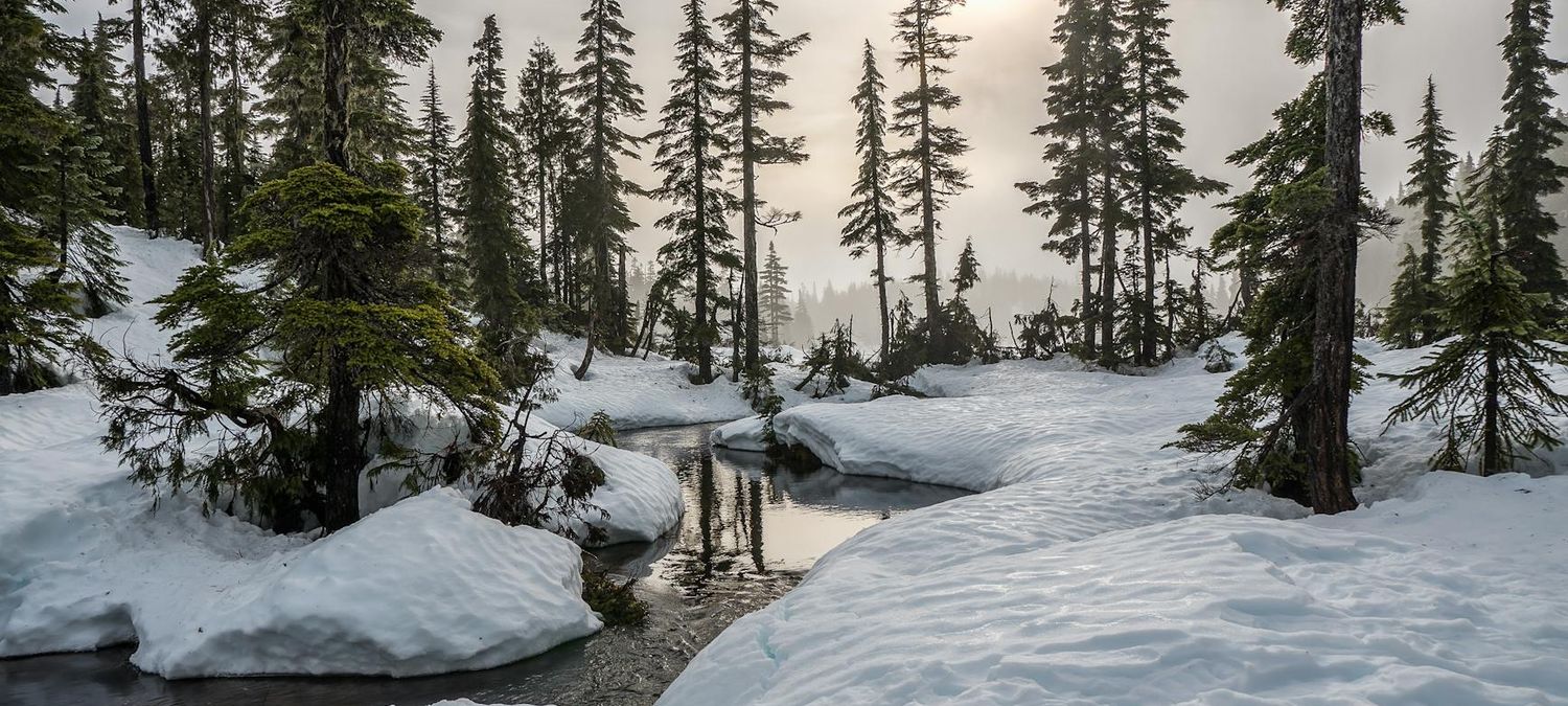 Spectacle divers en hiver 🙃