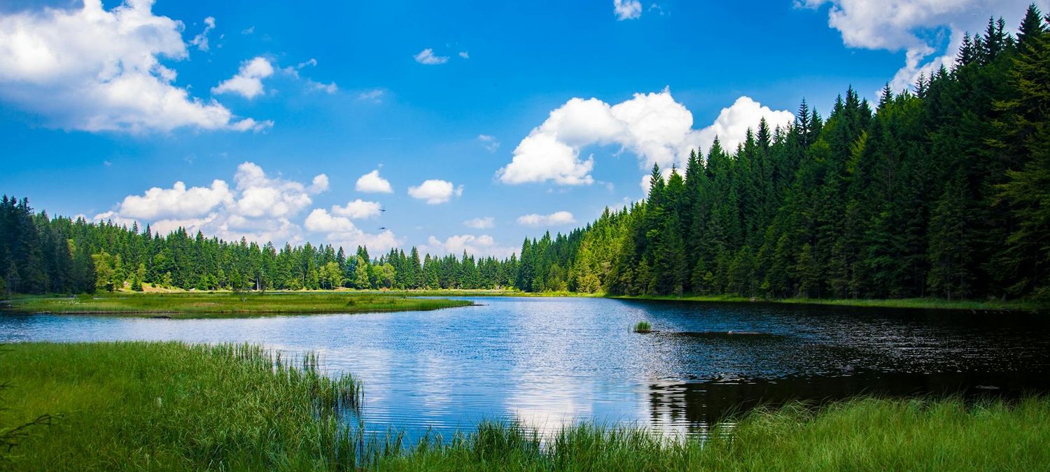 Ballade sur les bords de Marne