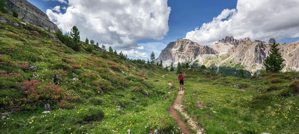 Randonnée bois de Vincennes