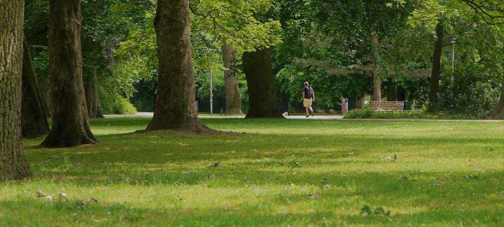 Sortie Molkky, jeux de sociétés au Parc Montsouris