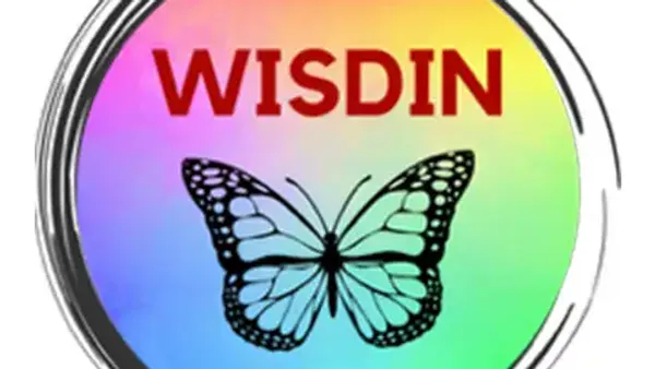 WISDIN 2026