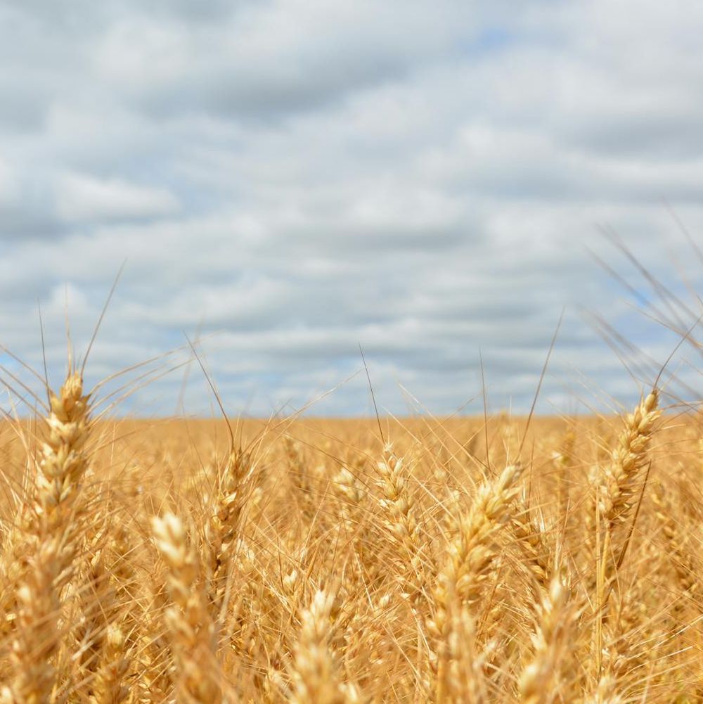 Bannière du groupe Sorties dans le 28