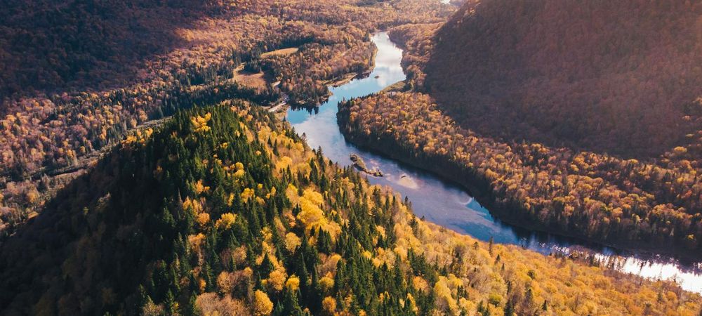 Parcours illuminé immersif