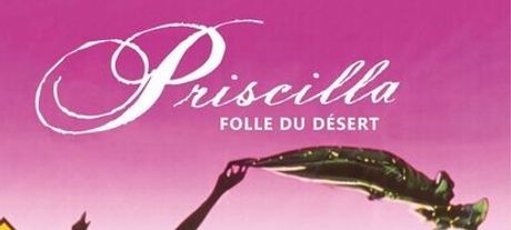 Cinéma Priscilla, folle du désert
