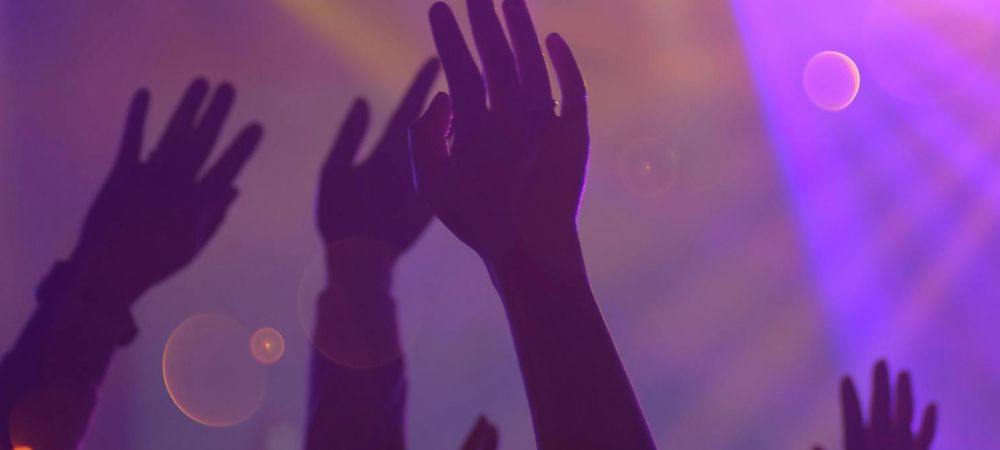 Rosa bonheur Pride 🏳️‍🌈