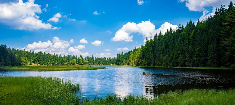 Ballade sur les bords de Marne