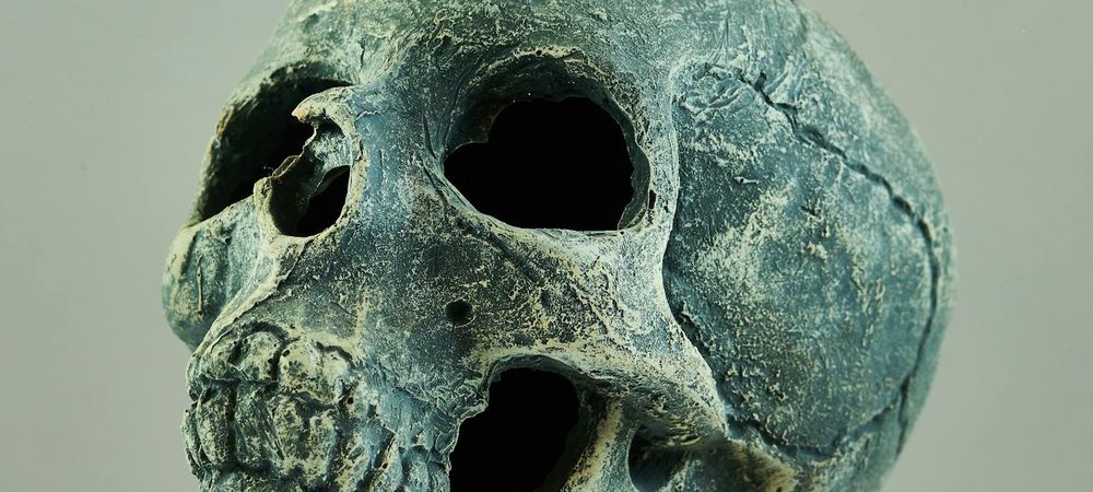 Destination finale entre filles 21h