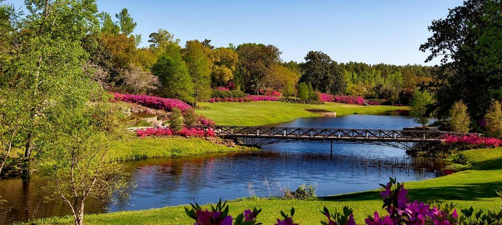 Goûter au parc de la tête d’or
