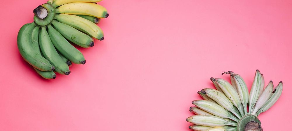 Vanishing Twin (groupe queer from England