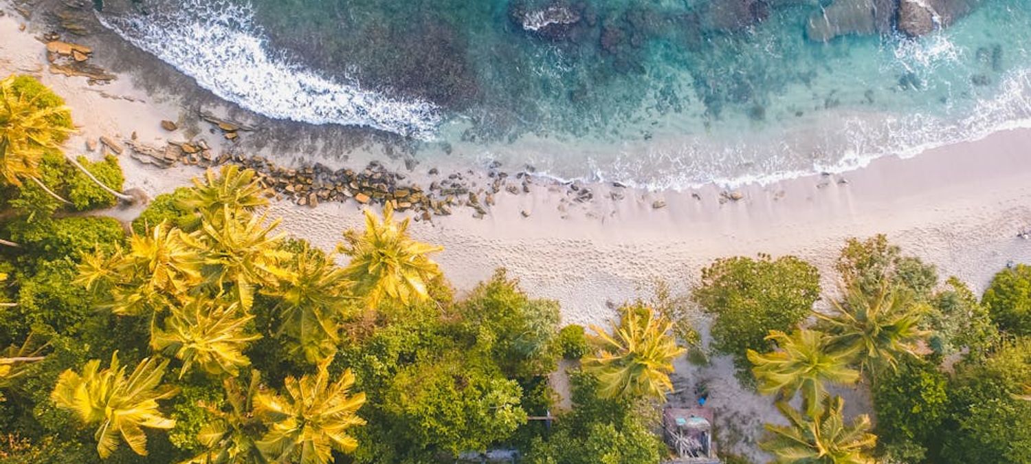 Aprem plage puis pique nique