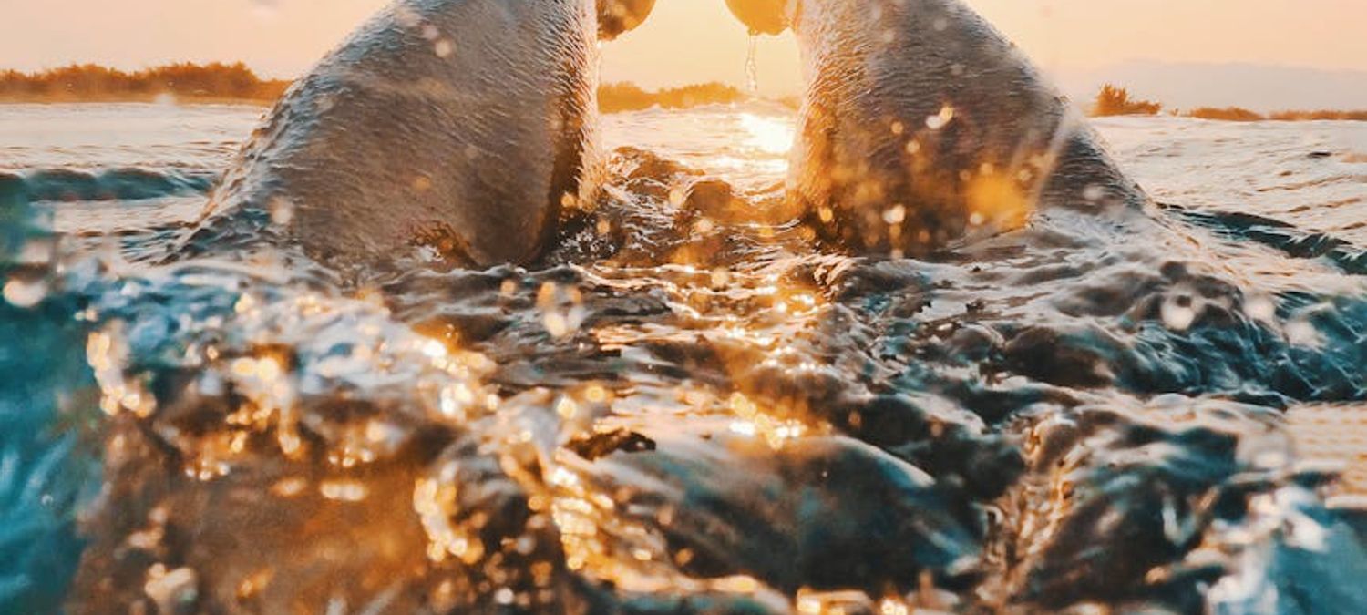 Mardi, c'est toujours piscine
