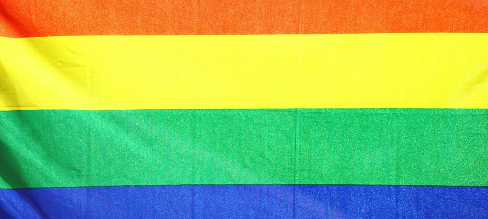 Meetup Asexuel/Rendez-vous à la Pride