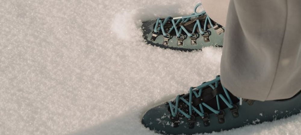 Randonnée Paris>Fontainebleau