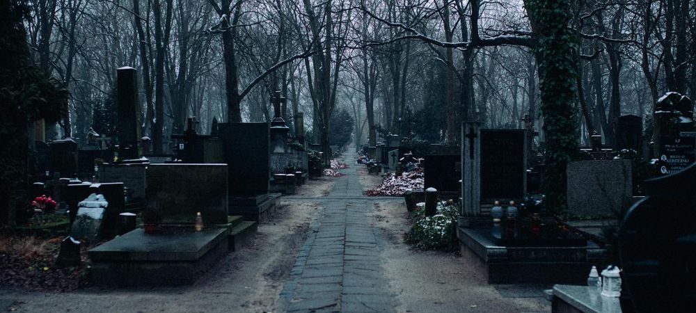 🌲 Promenade dans un cimetière