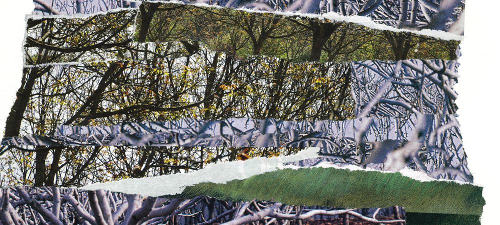Collages Errants