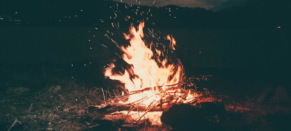 Bivouac, châtaignes et champipi