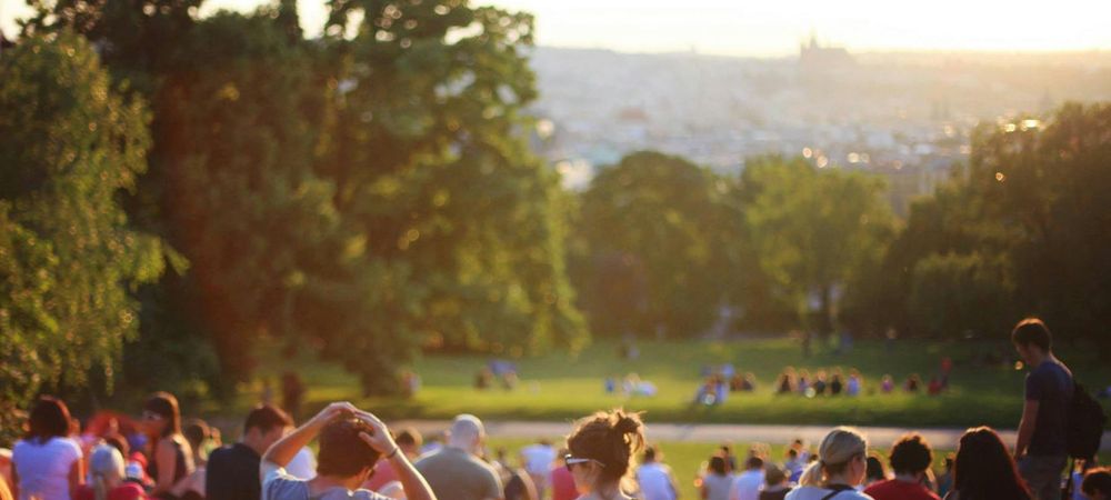 Pique-nique estival 🌱☀️