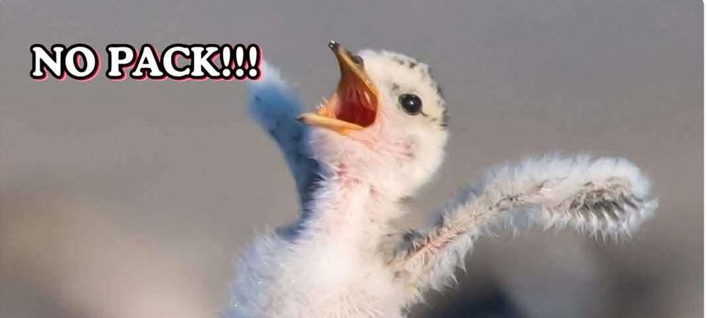 Initiation Roller Derby Open