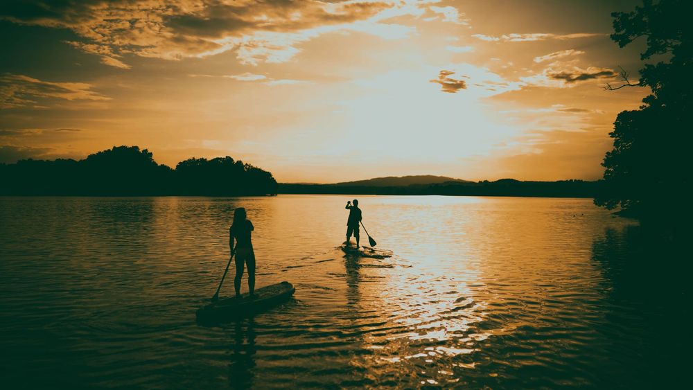Paddle