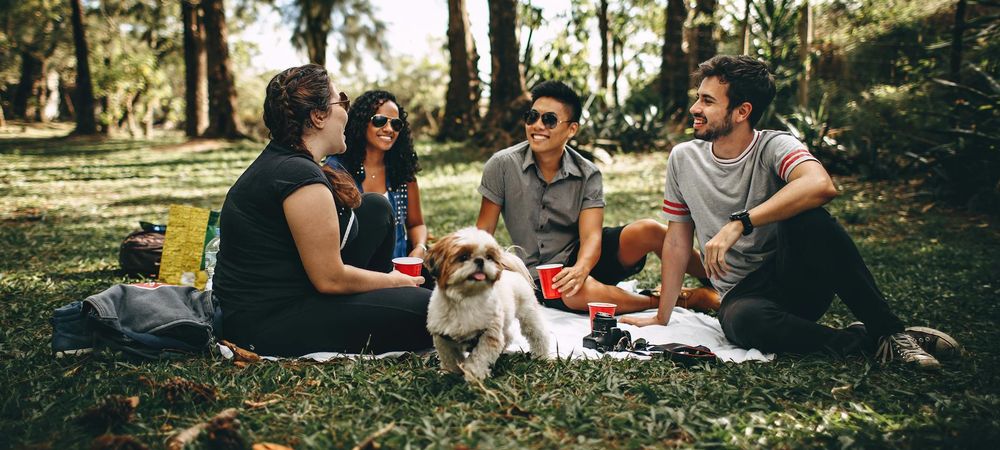 Meetup asexuels : apéro en extérieur