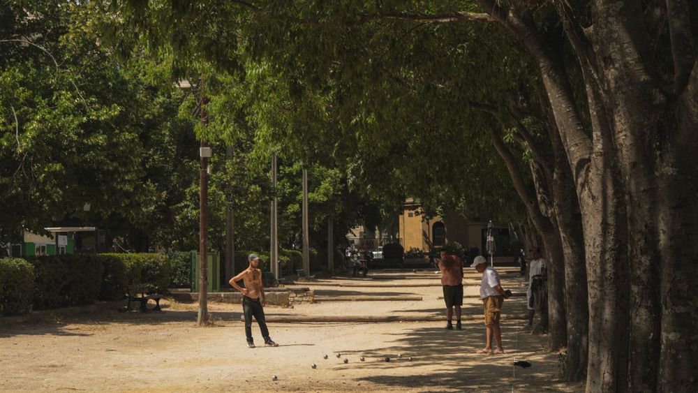 Vibes parc : pétanque, jeux, rencontres ✨️