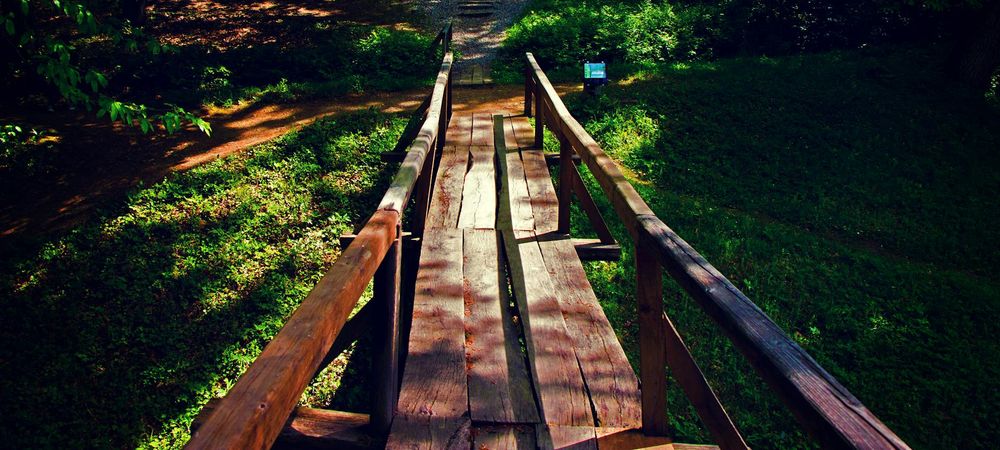 Sortie Accrobranche et Brasserie - ouvert à tous.tes🤸🧗🌿🌲🌳❄️