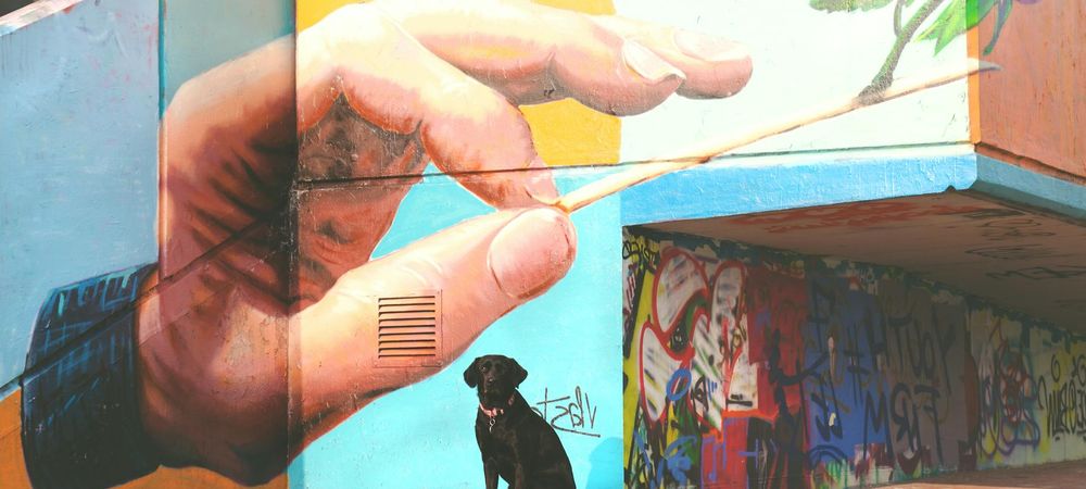 Vernissage expo Street Art 