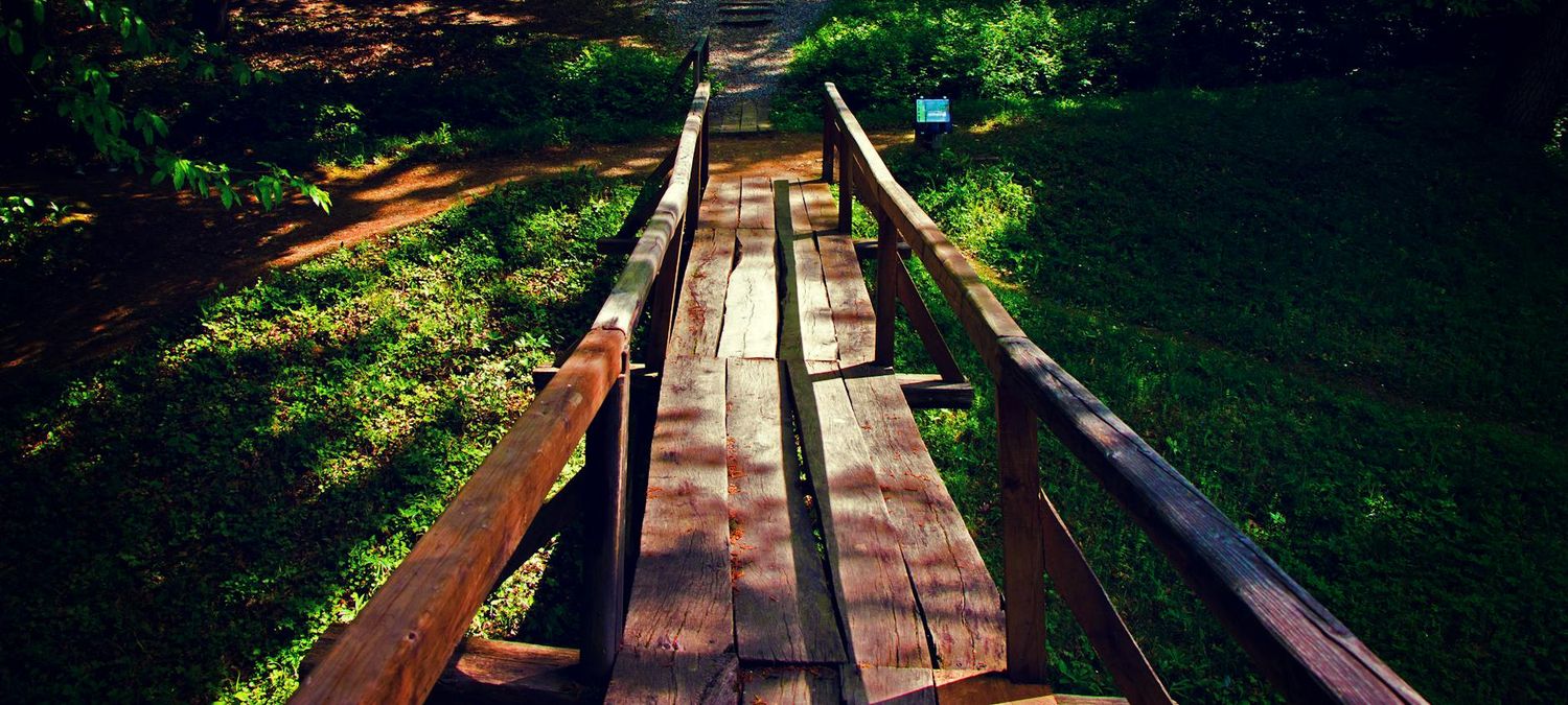 Sortie Accrobranche et Brasserie - ouvert à tous.tes🤸🧗🌿🌲🌳❄️