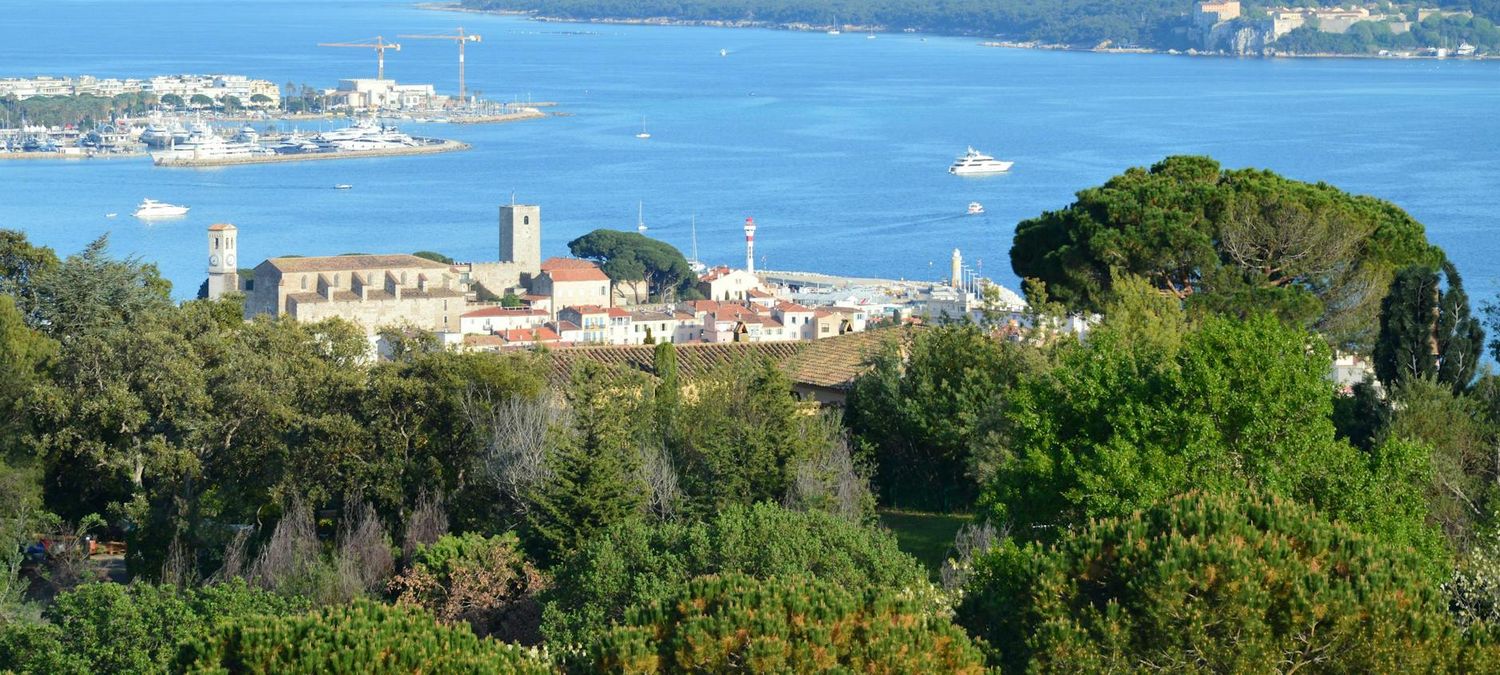 PALME D'OR CANNES 2024