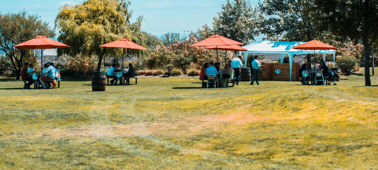 Pique-nique/jeux de cartes/rigolade