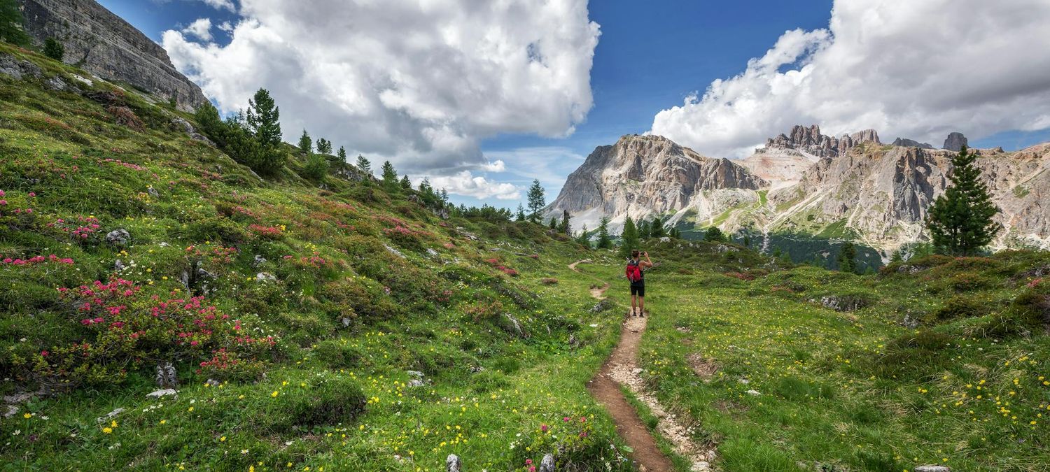 Randonnée bois de Vincennes