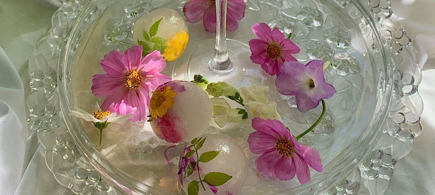 🌈 APÉRO QUEER — ÉDITION #6