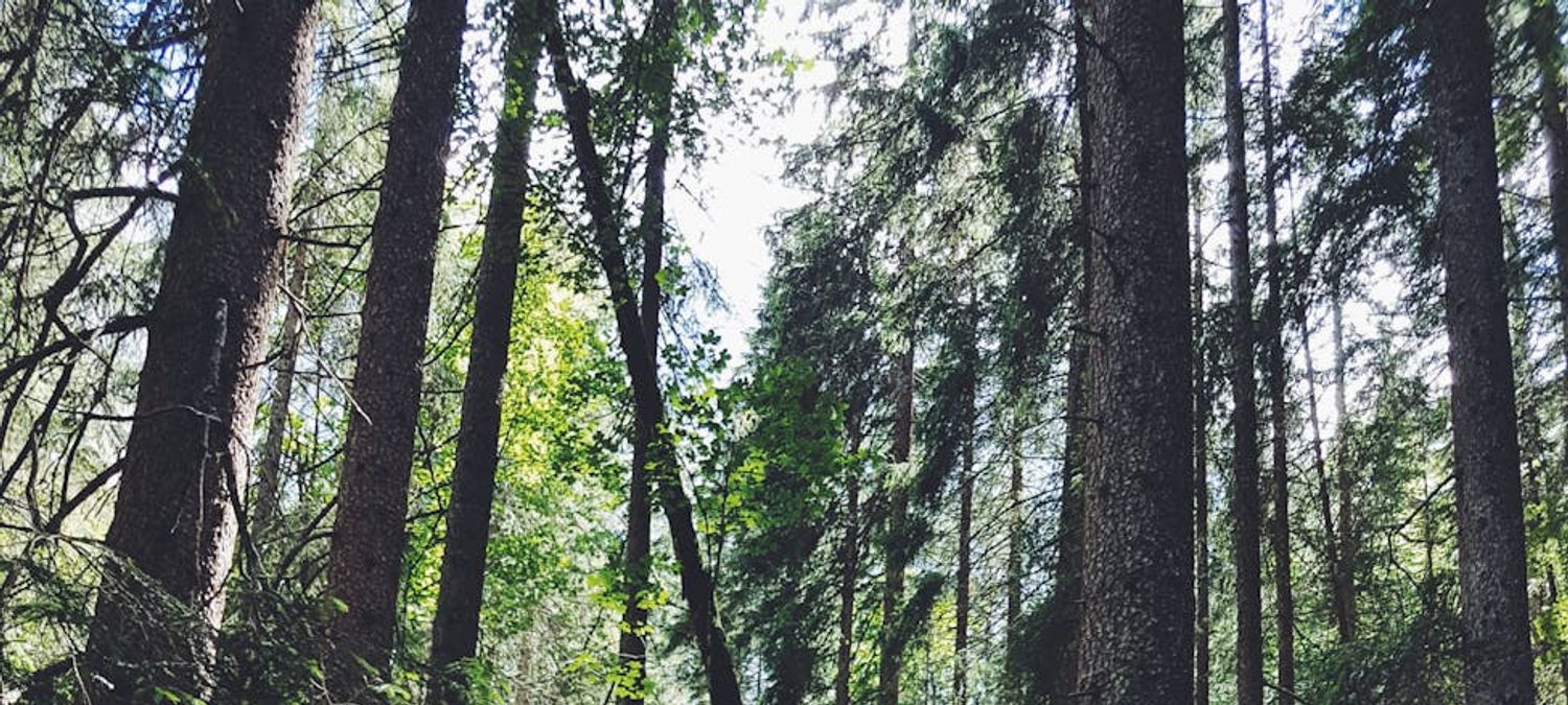 Randonnée Vallée de Chevreuse