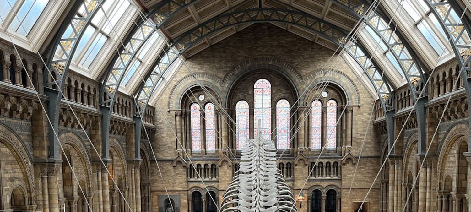 Nuit Européenne des musées : Palais de Tokyo