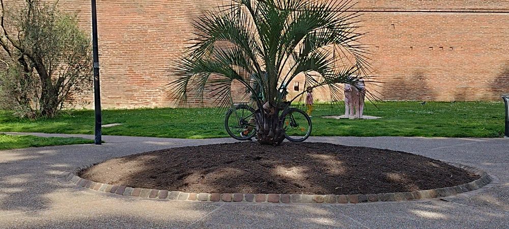 Cours collectif plein Air