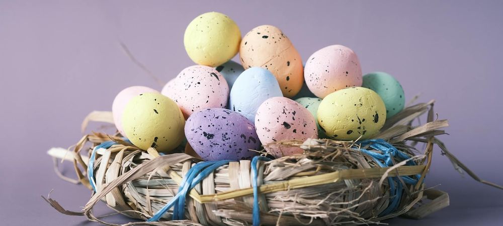[Gratuit] 🥚 Expo eggxtraordinaire
