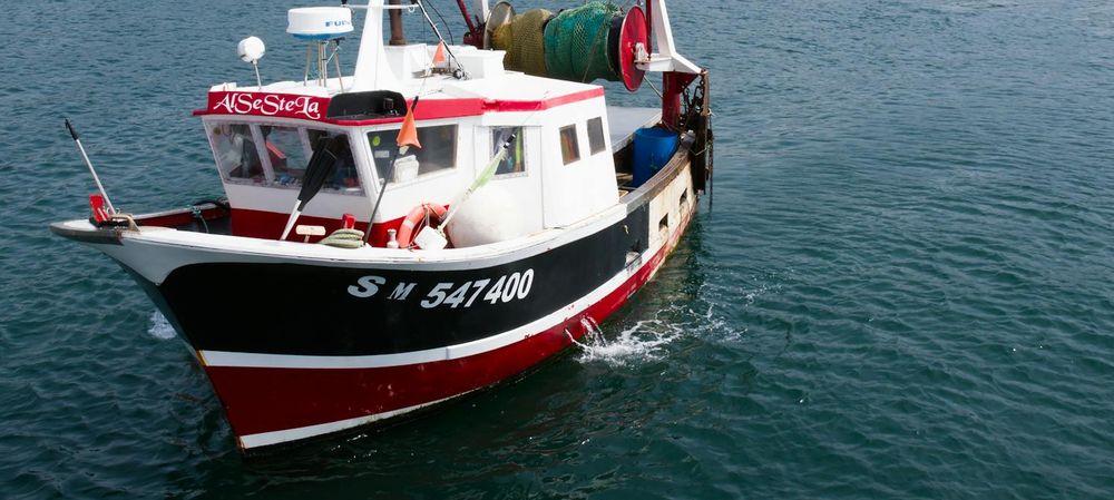 Croisière Saône pour observer la biodiversité