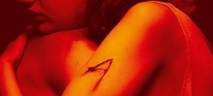 Session ciné – Alpha