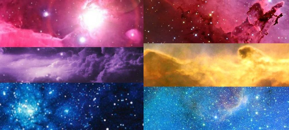 💗💛💙 Moment convivial bi & pan ❤️💜💙